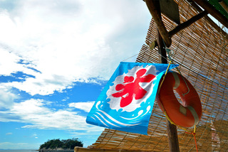 夏.jpg