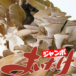 maitake.jpg